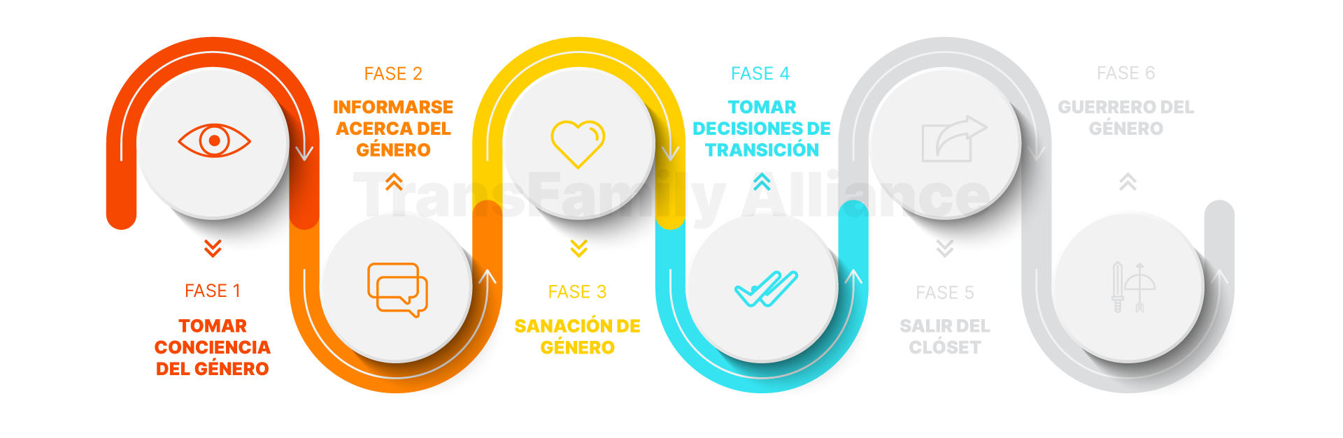 Gender Journey: Transition Decisions